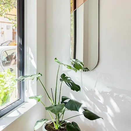 Designer In The Center * Κλουζ-Ναπόκα