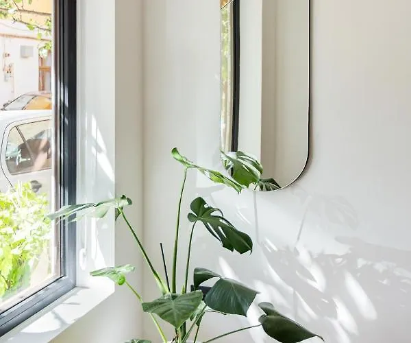 Designer In The Center * Cluj-Napoca